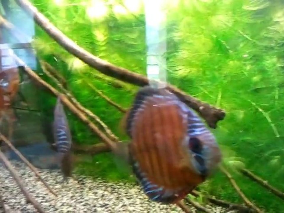 video-2012-01-28-10-42-02