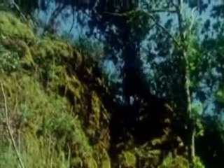 Le loup blanc - Extrait (Feuilleton)