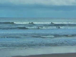 Samedi 28 Janvier - Report vidéo 11H30