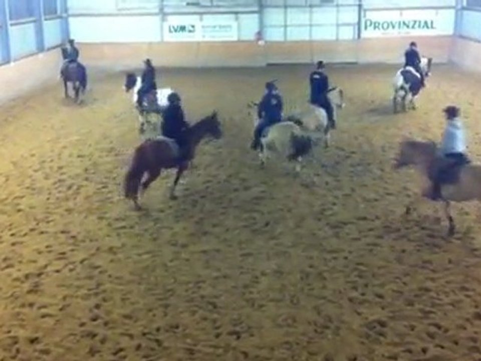 Quadrille-27012012