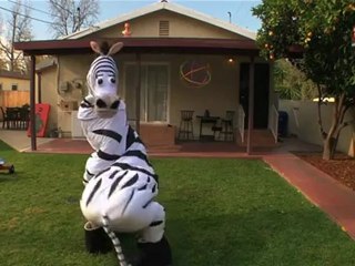 Chorégraphie hippique