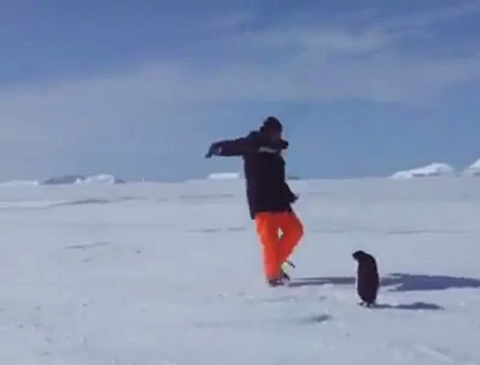 Penguenden nakavtlık hareket