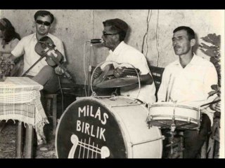 Aliko-indim daldan budaktan Selimiye Milas Soke