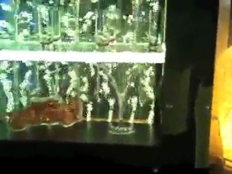 AGENCEMENT DISCO BAR GLAMOUR AND SEXY