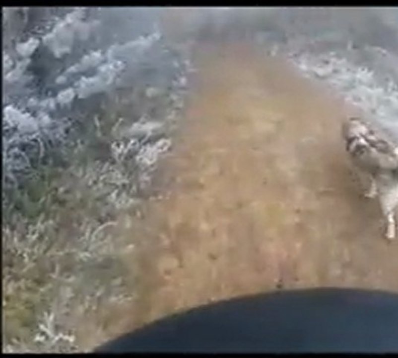 Trott'n'roll