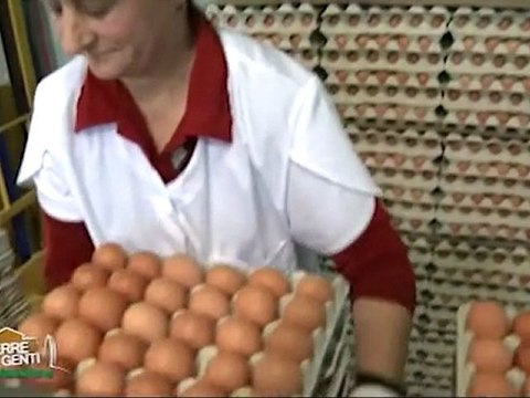 TERRE E GENTI MALATESTIANE - Verucchio e Villa Verucchio, parte1