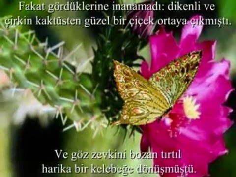 Sedat Uçan Allahu Allah Harika Bir Eser