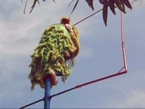 Nouvel An Chinois chez nous, à Sihanoukville - Janv.2012