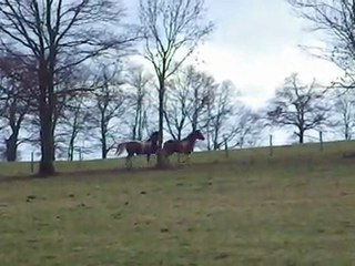 storm et tanka : retrouvailles 28 01 2012 (1)