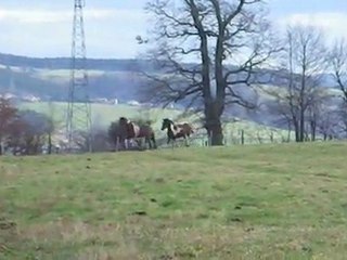 tanka et storm suite 28 01 2012 (2)