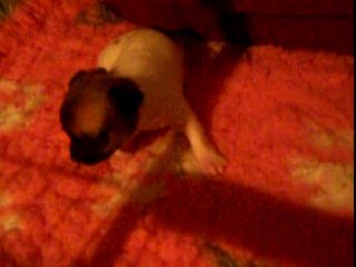 videos 3 semaines 010