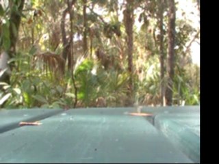 FINAL THE EARTH THAT HELPED THE WOMAN