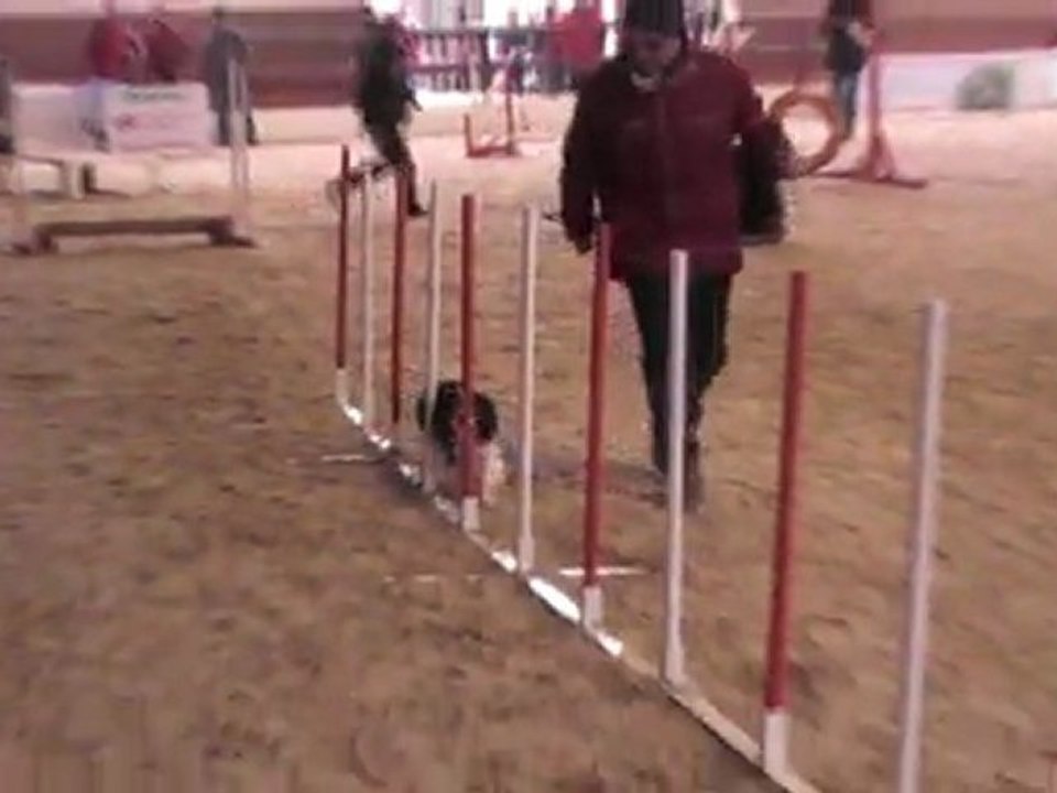 CHOUIA OPEN LAHONCE 29 01 2012