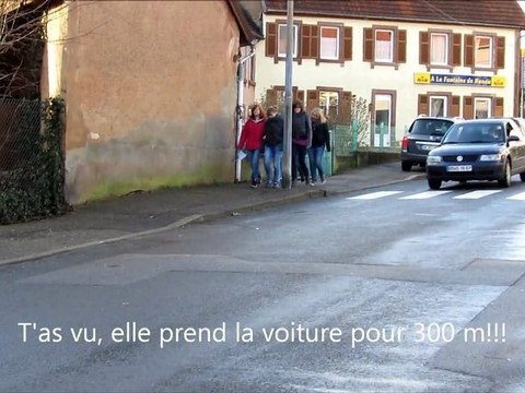 Les 2nde pro Services aux Personnes et aux Territoires et l'environnement