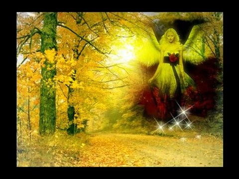 CEVDET BAĞCA AL ÖMRÜMÜ