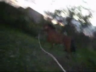 Saut 80cm (janvier 2012)