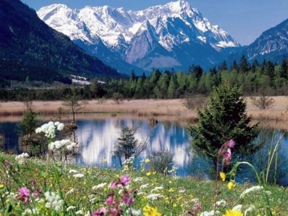 *Moment of Peace* Paix et Réflexions