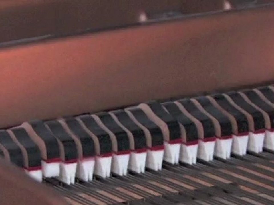 JS Bach - Largo BWV 973 - Racha Arodaky, piano