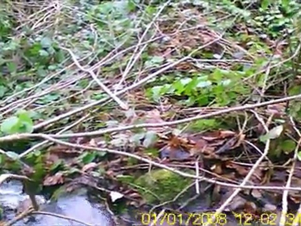 28.01.2012 ikizce/ordu