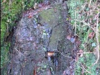 culture agri bts2 yssingeaux 2012 environnement