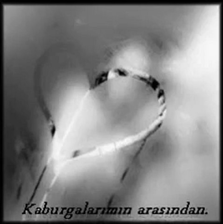 Kahraman tazeoğlu bir kaybın güncesi