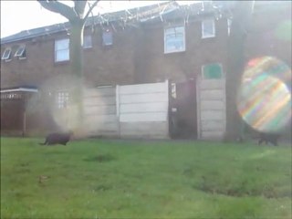 Jet n Midnight  27 ‎January  2012