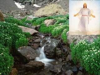 Dios necesita a los hombres- Renato d andrea