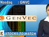 GenVec (GNVC) Extends Research Collaboration with Novartis