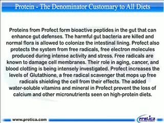 Protein: The Common Denominator of All Diets