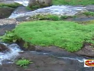 Aldeia de Sevilha (Tábua) Coimbra Portugal