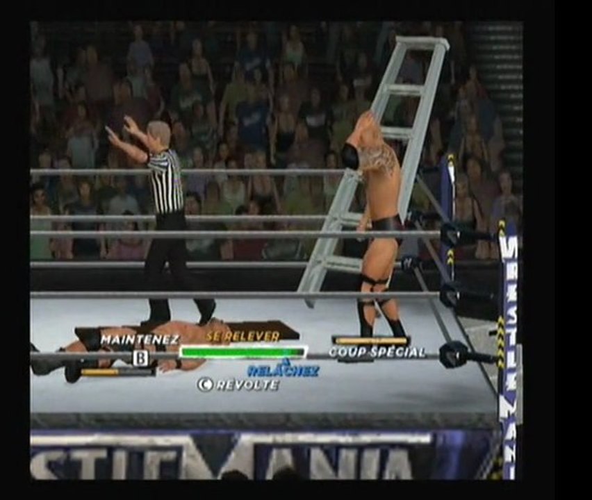 steve austin vs the rock