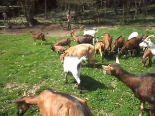 poupou fout la merde!!!