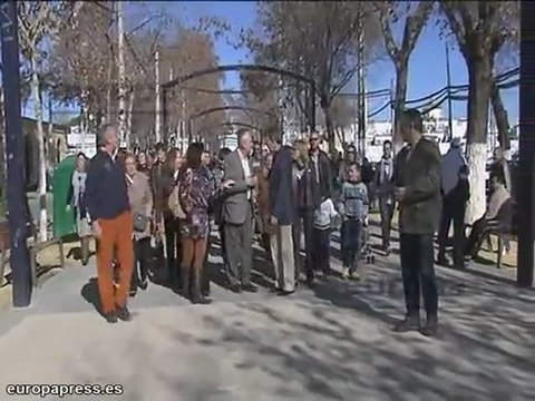 Griñán: No incentivar las renovables es una amenaza