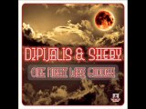 Dj Pijalis And Sheby - One Night Was Enough (Domasi Remix)