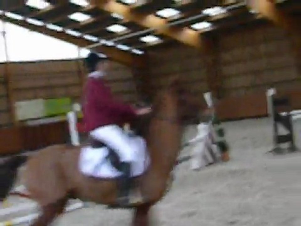 cso royer club 1
