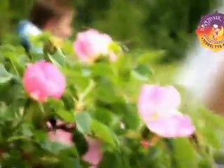 Свадебные клипы от PLs 🎥