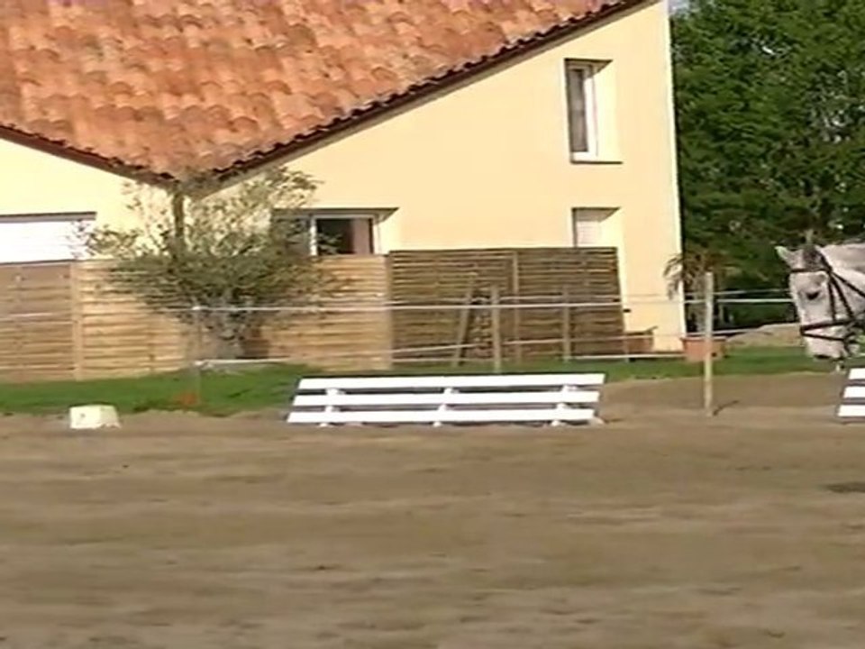 Dressage Club2GP - St Philbert - 29/01/12 - Skwerenn