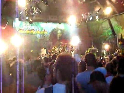 Rototom 2011 - Mr Vegas