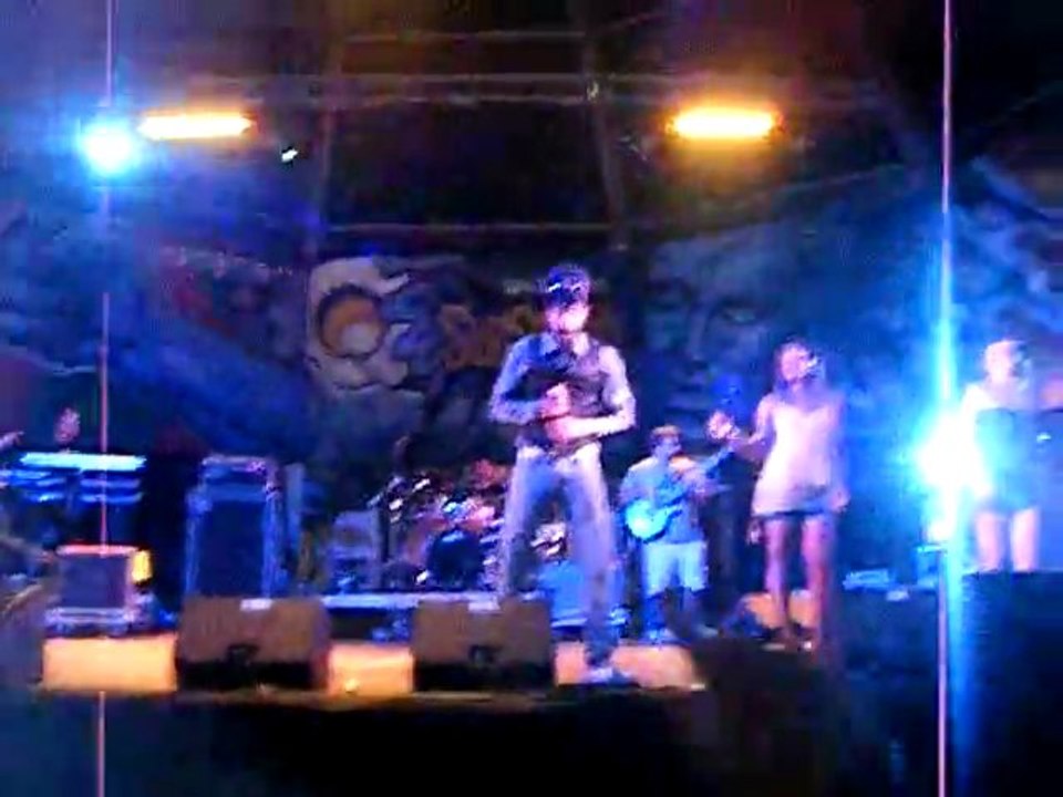 Rototom 2011 - Lion D