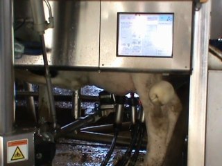 Le Robot de Traite [Cultures Agri]