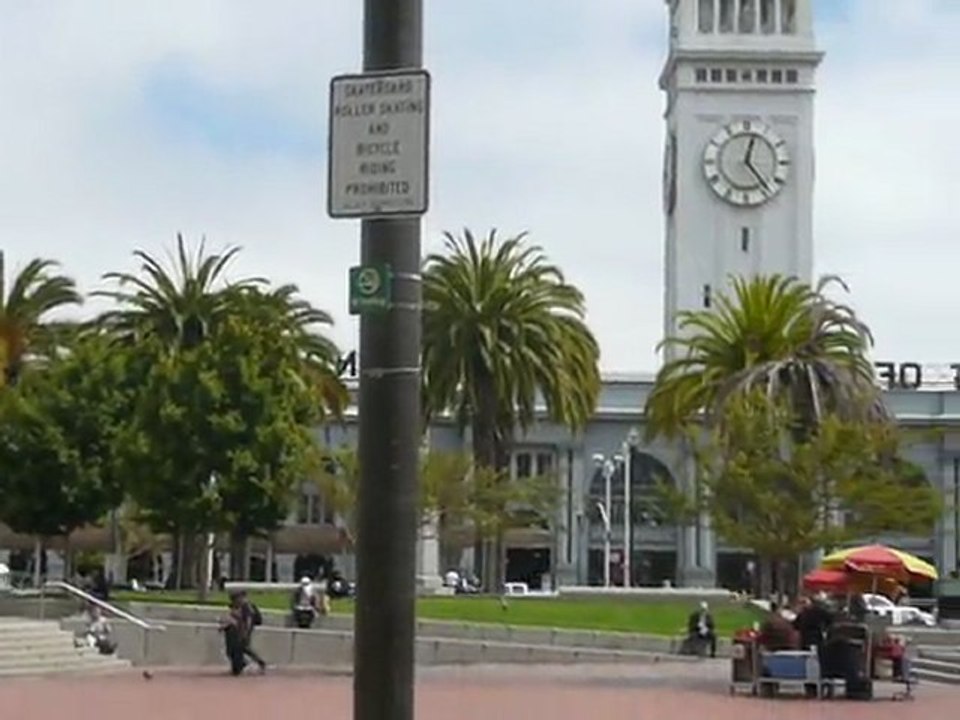 CRUISE (SF)-2010 001