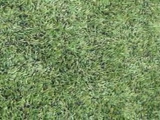 TOURNOI U9 A FRONTON 28-01-2012