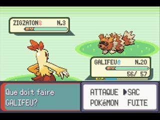 Capture de Zigzaton Shiny sur Emulateur