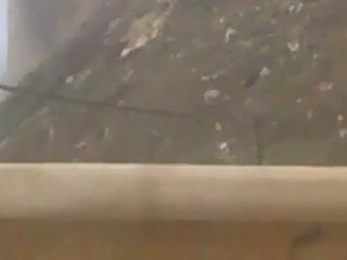 فري برس   قصف مدفعي على قلعة المضيق الأثرية 29 1 2012 ج2