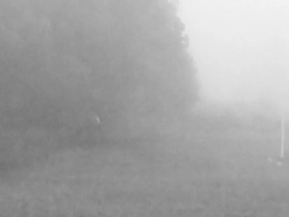 Video 2