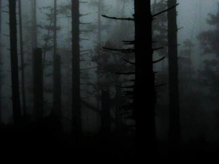 Phase IV - The Sign Of Your Coming (Extended Version)