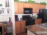 Vista Ridge Apartments in San Antonio, TX - ForRent.com