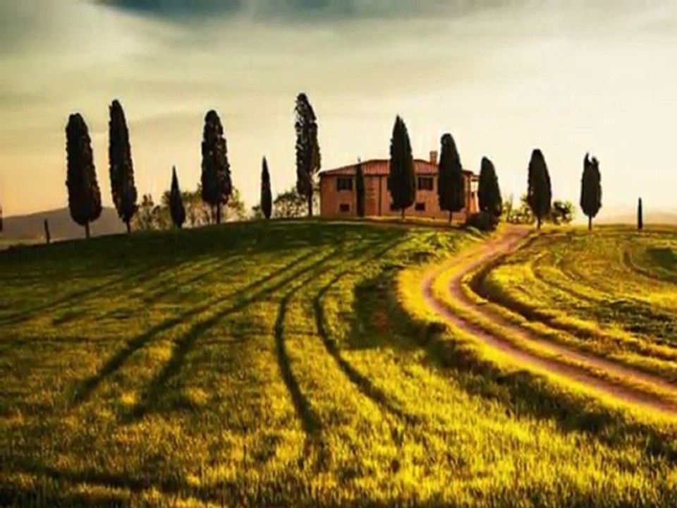 Melihat Gülses- Rüzgar kırdı dalımı