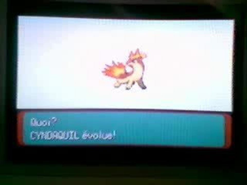 Evolution de mon feusiron