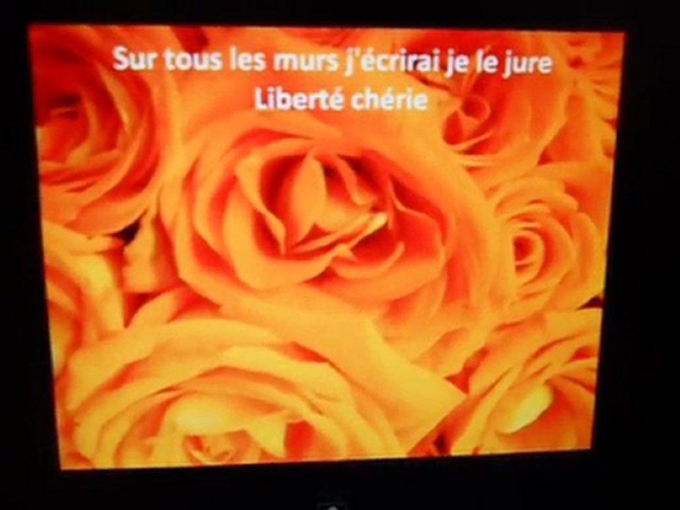 Ca ira mon amour
